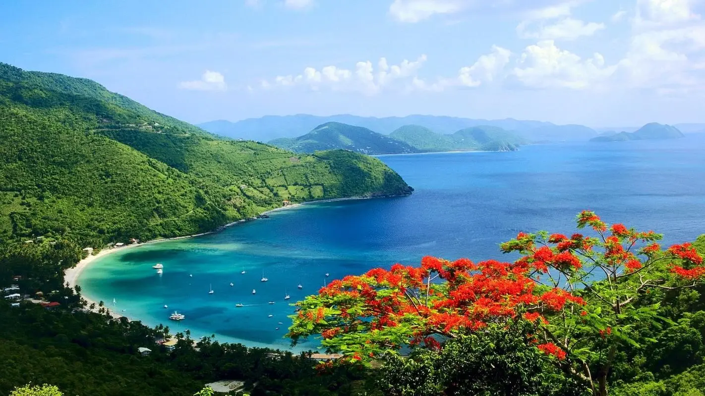 高效智能系统全自动